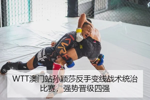 WTT澳门站孙颖莎反手变线战术统治比赛，强势晋级四强